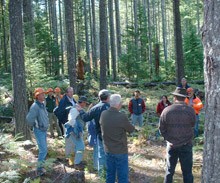 A fisher, or "tree wolverine" Photo: WDFW