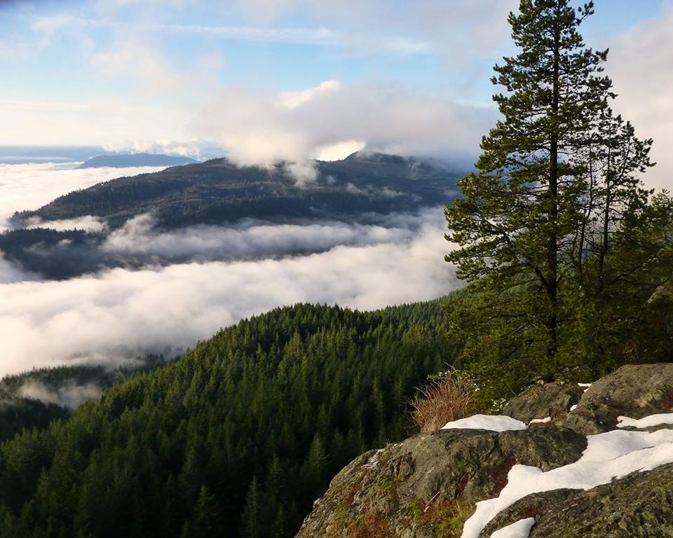 Funding for Blanchard Mountain passed in Capital Budget Conservation