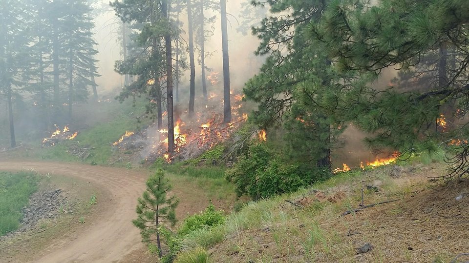 Prescribed burning