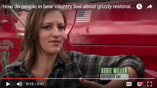 grizzly film 1
