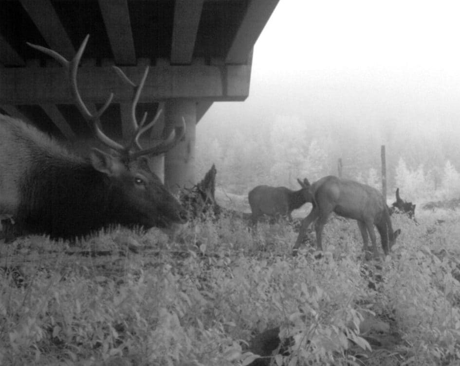 conservationnw image