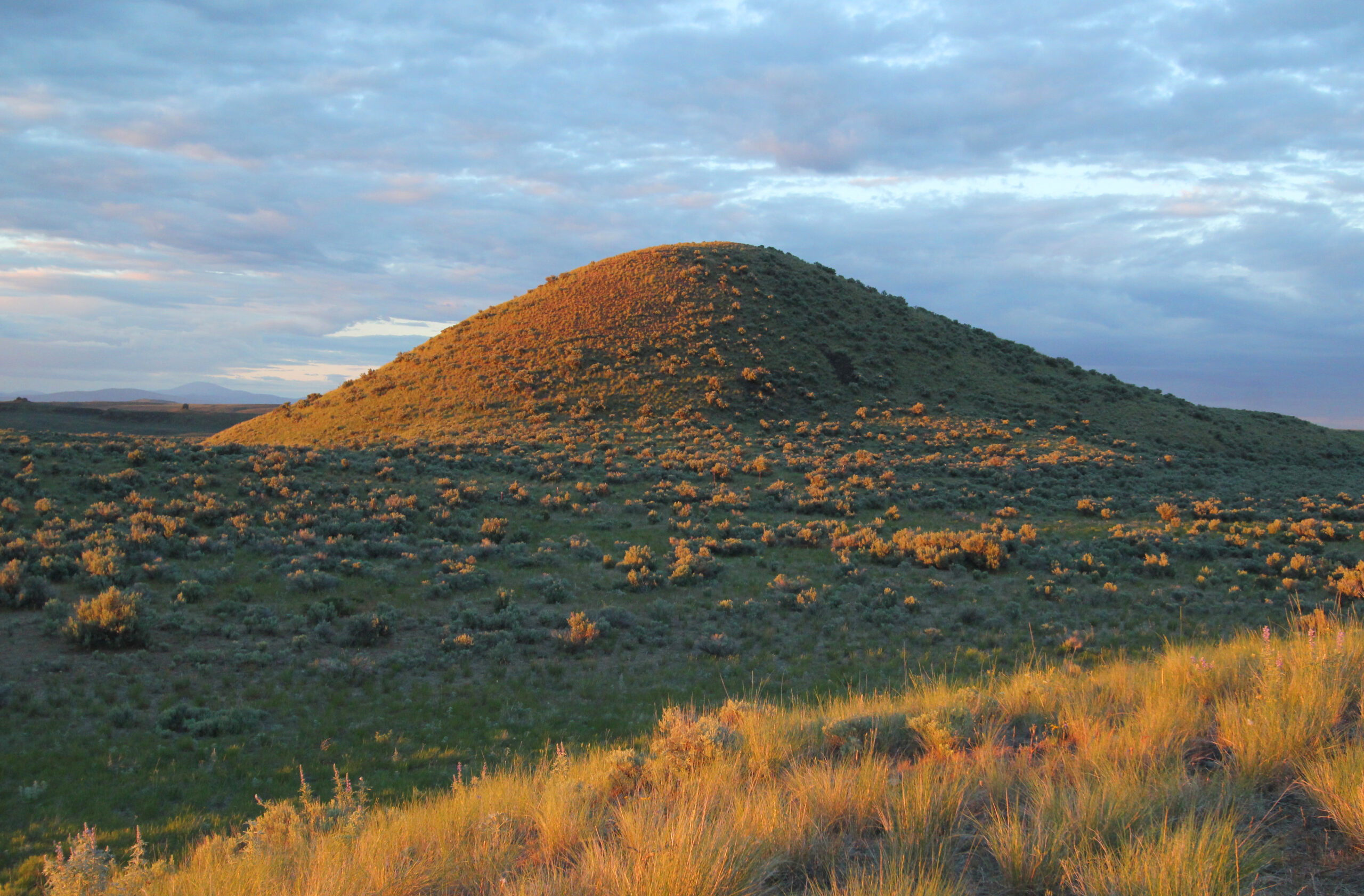 conservationnw image