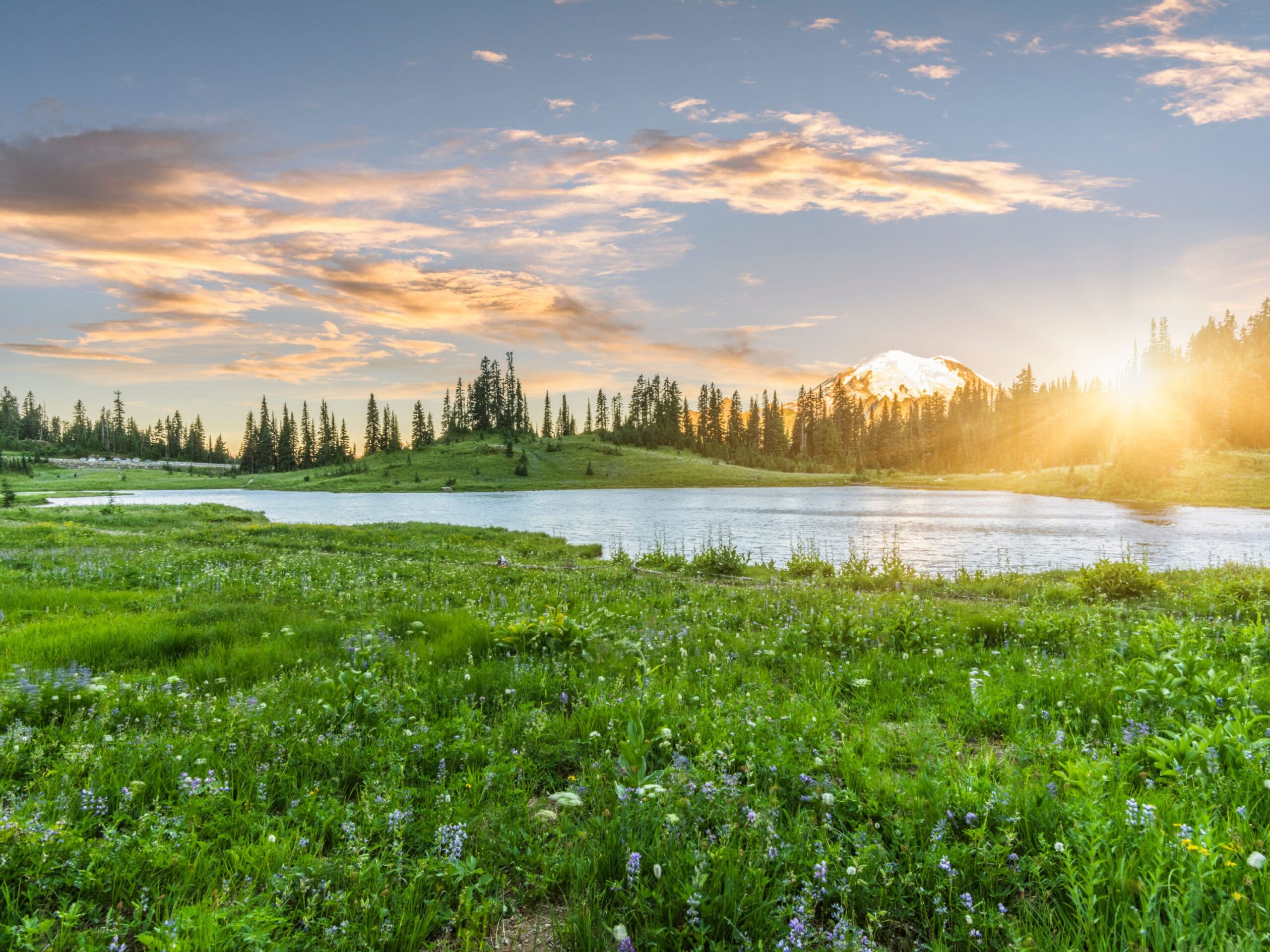 Mount Rainier and Tipsoo Lake iStock 507678290. Photo chinaface e1524695052326 scaled