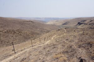 Gingko State Park wildfire and hiking trail. Near Vanage. Photo Chase Gunnell 8.6.18 3 scaled