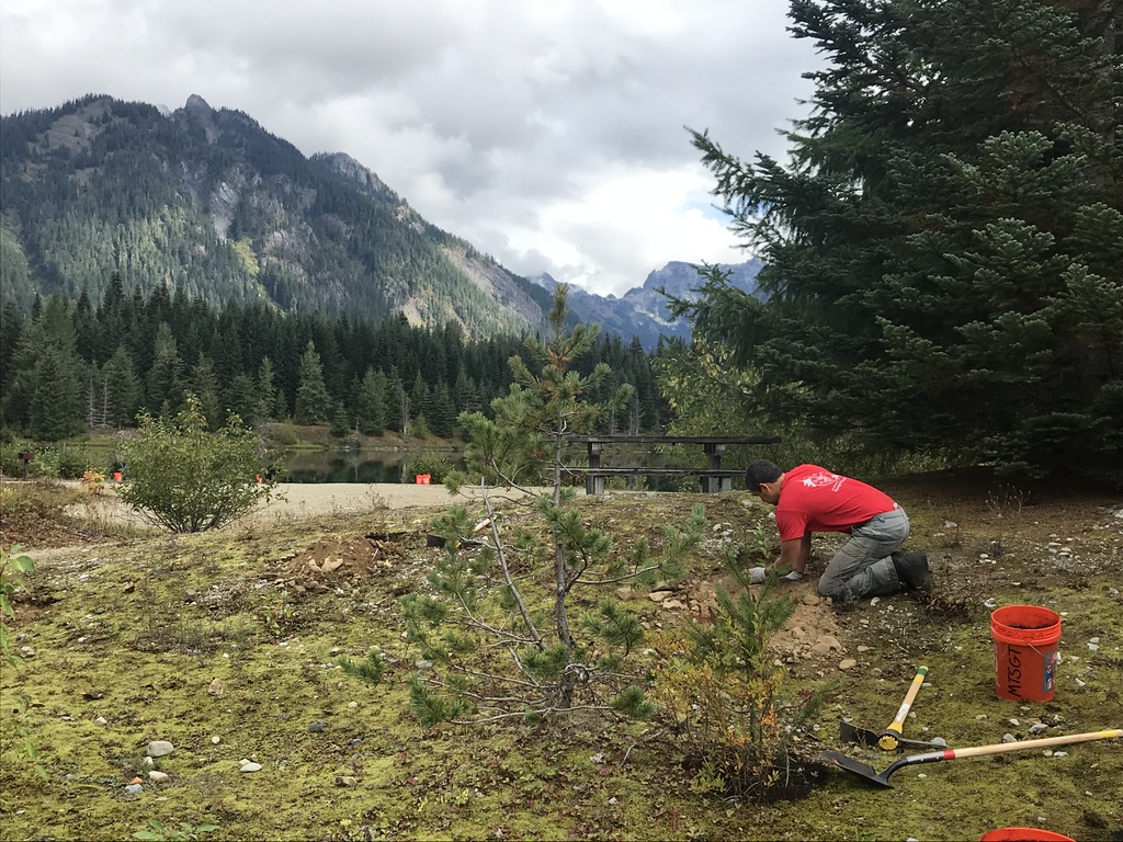 GC planting with a view