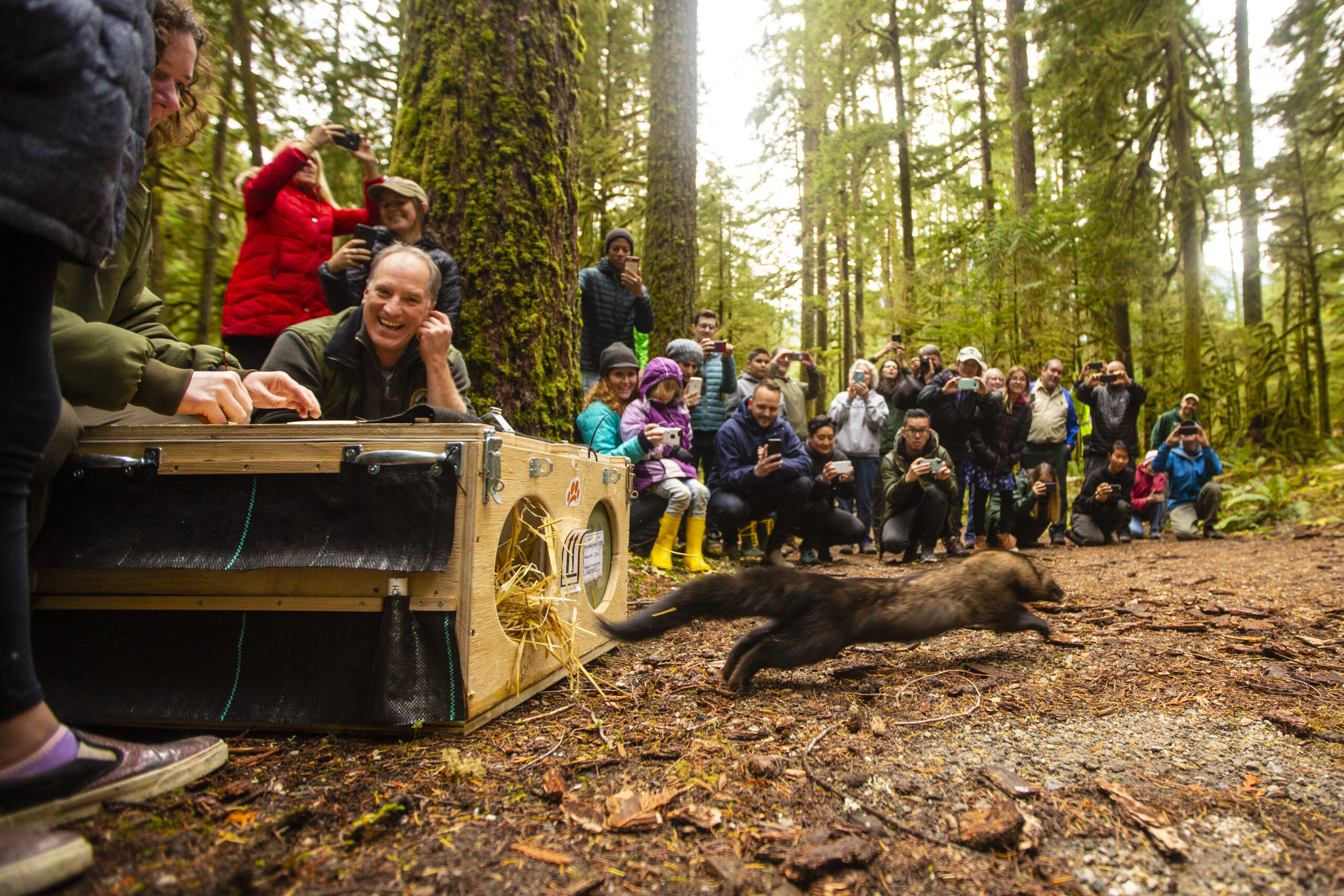 Buck Creek fisher release 10.24.19 David Moskowitz photos 21 scaled