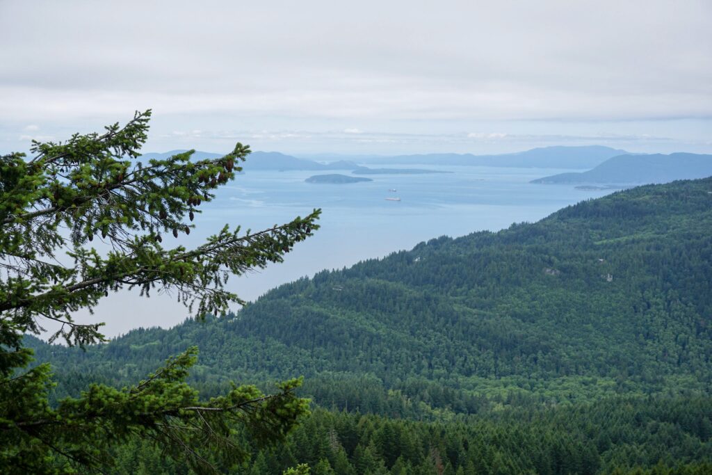 View from Oyster Dome June 2019. Photo Chase Gunnell