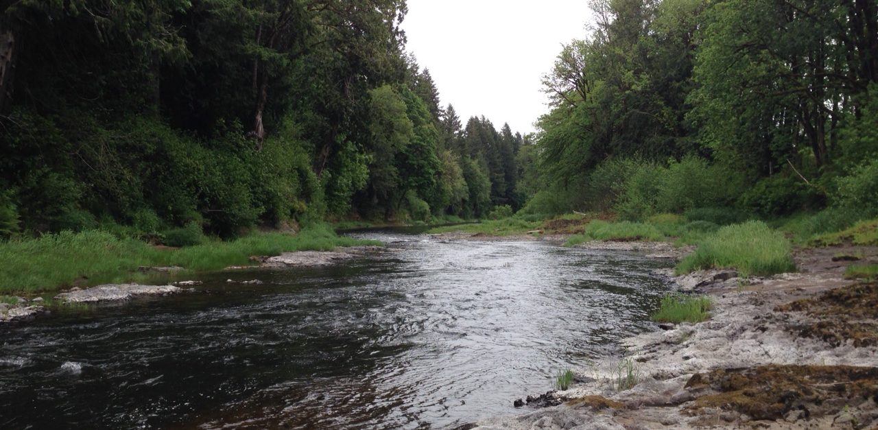 UW grand challenges impact lab student's provide equitable framework for Chehalis Basin.