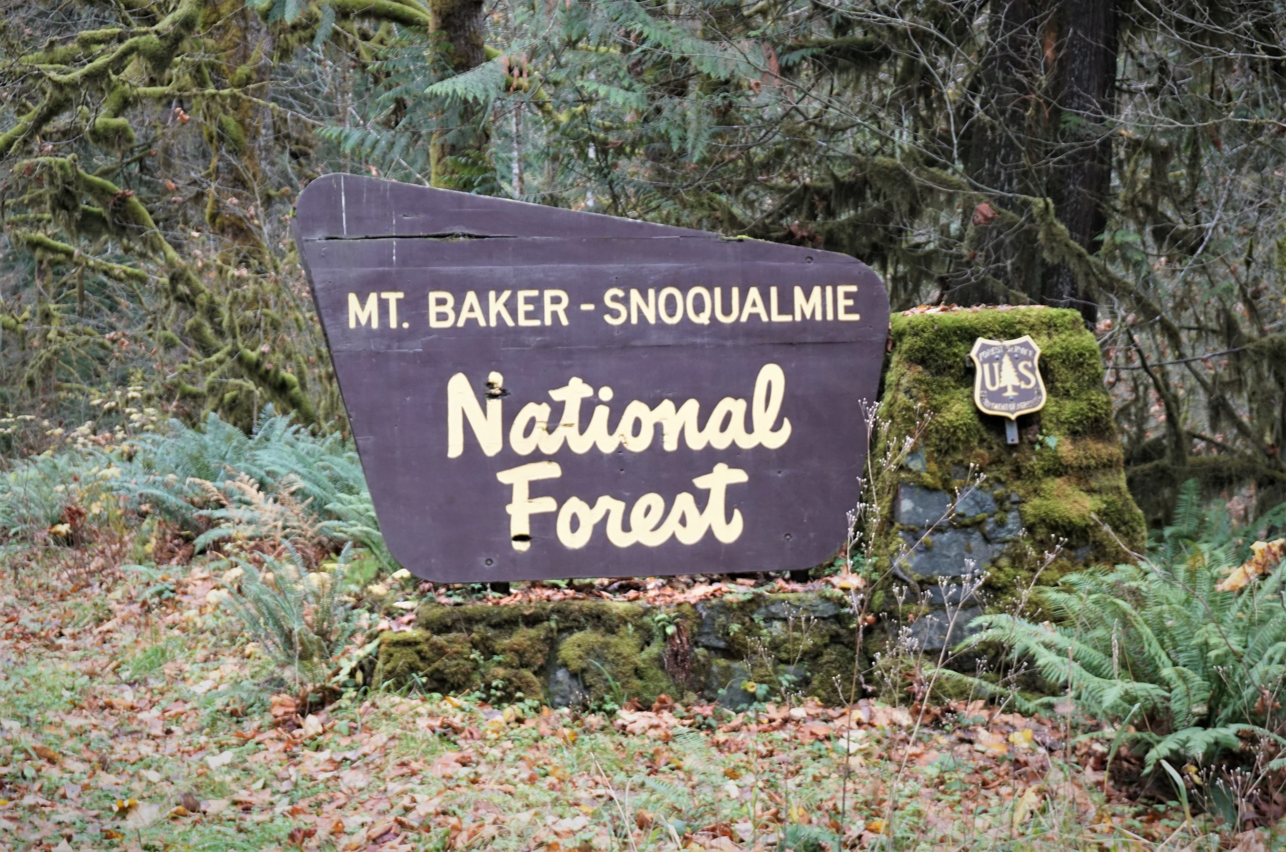 Mount Baker Snoqualmie National Forest sign North Cascades Photo Chase Gunnell scaled 1