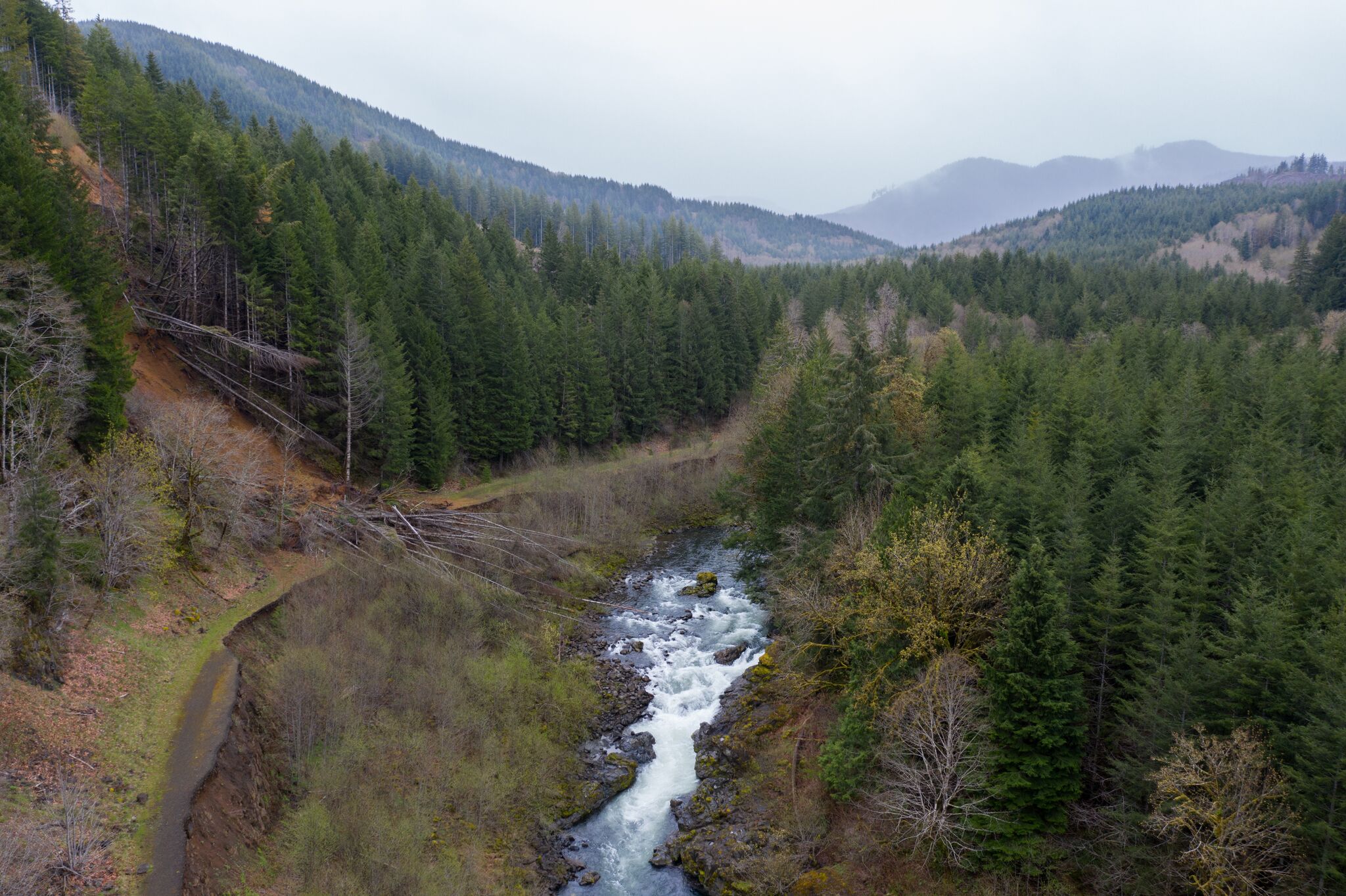 @PacificRivers @northforkstudios Shane Anderson Near proposed Chehalis dam and reservoir1