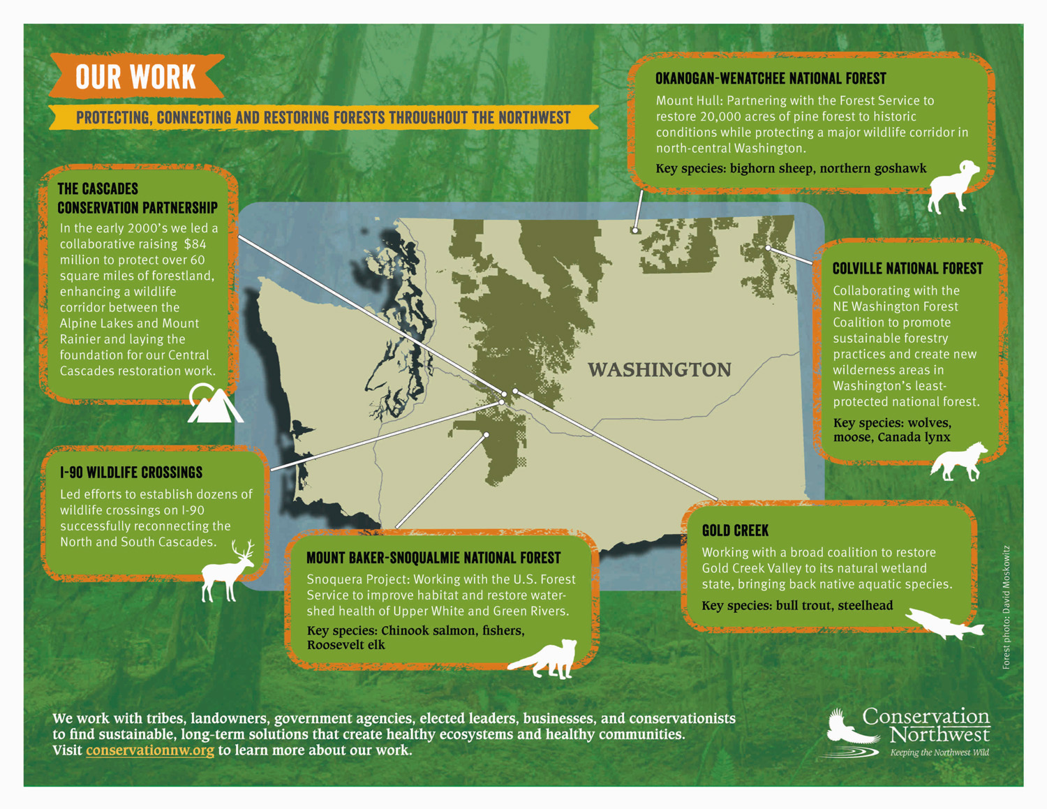 CNW Forest Restoration Page 1
