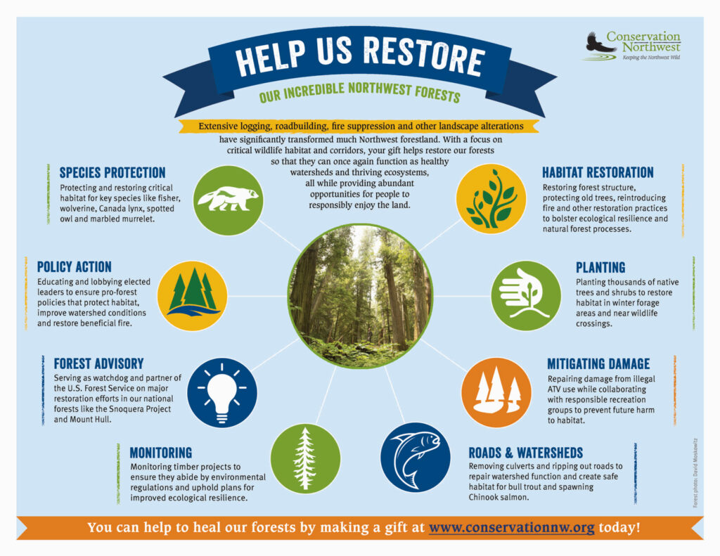 CNW Forest Restoration Page 2