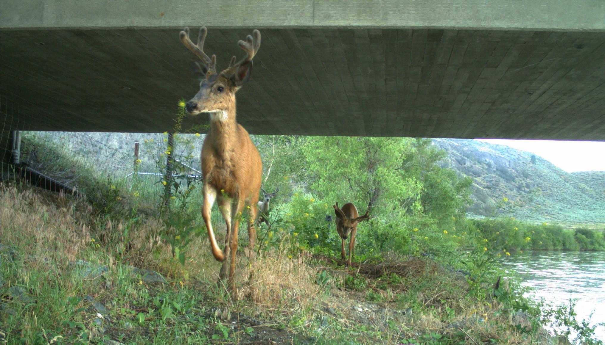 conservationnw