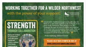 2020 fall appeal flyer cropped