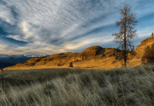 JHaug Figlenski bunchgrass Cascades to Rockies