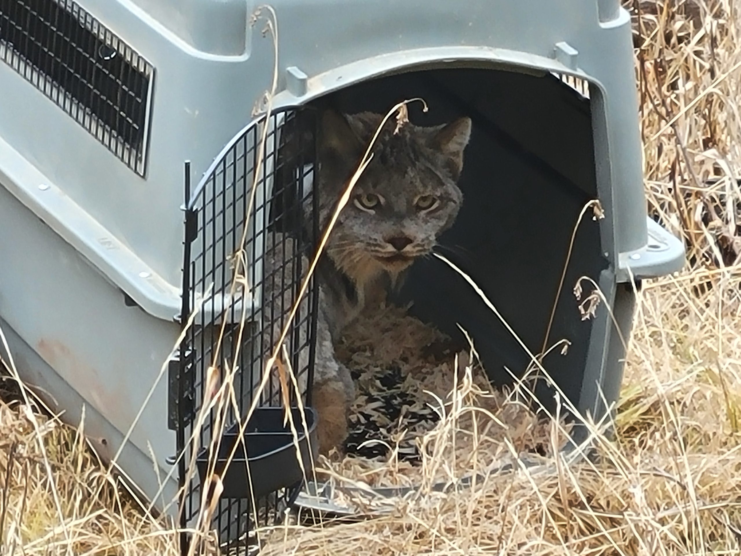 conservationnw