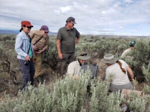 conservationnw