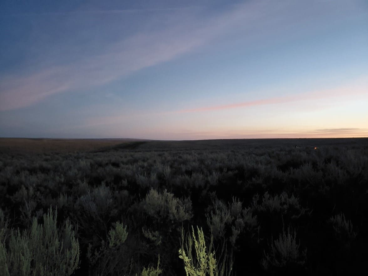 sunrise in the shrub-steppe