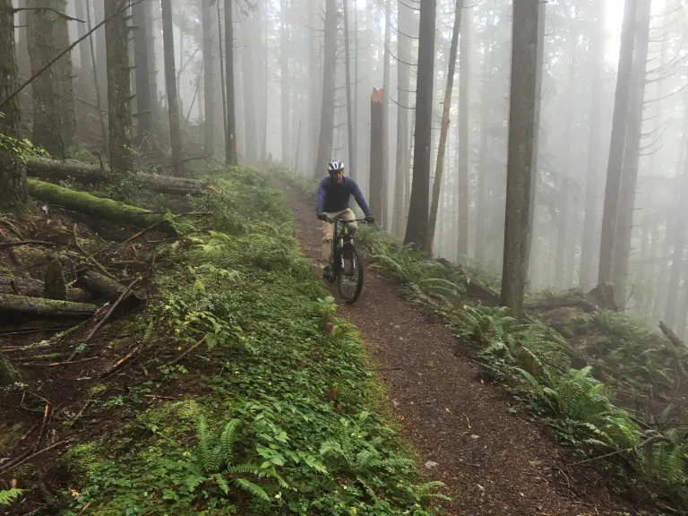 Mountain biking offers a fun way to experience our state lands. Single track trails like this one in Blanchard Forest are under the scope of this e-bike policy process. Photo: Eric Brown