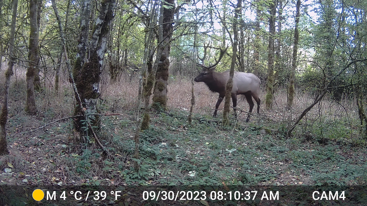 conservationnw