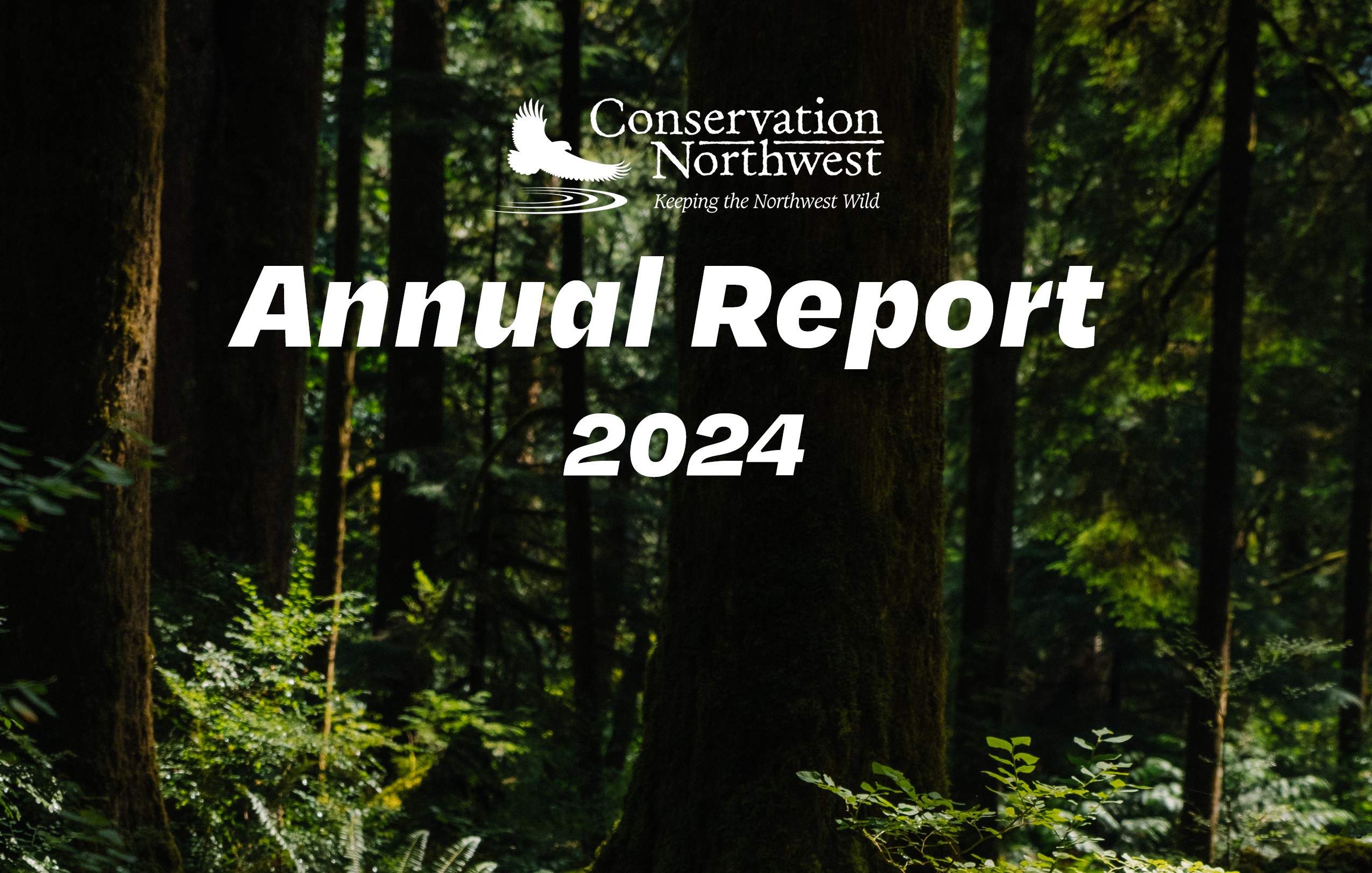 Annual Report 2024 Cover H
