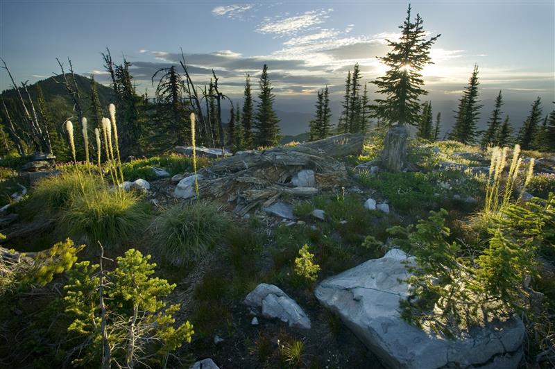 Abercrombie Hooknose roadless view 2 Colville NF Columbia Highlands Eric Zamora