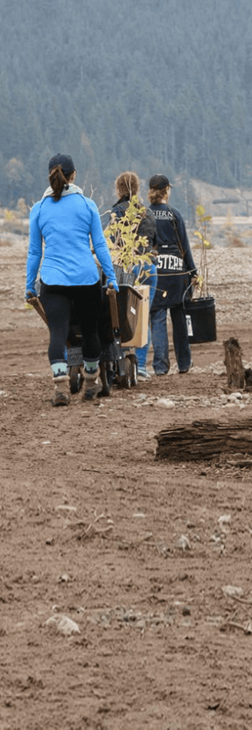 People carry native tree seedlings and planting equipment across a recently cleared landscape for a forest restoration project.