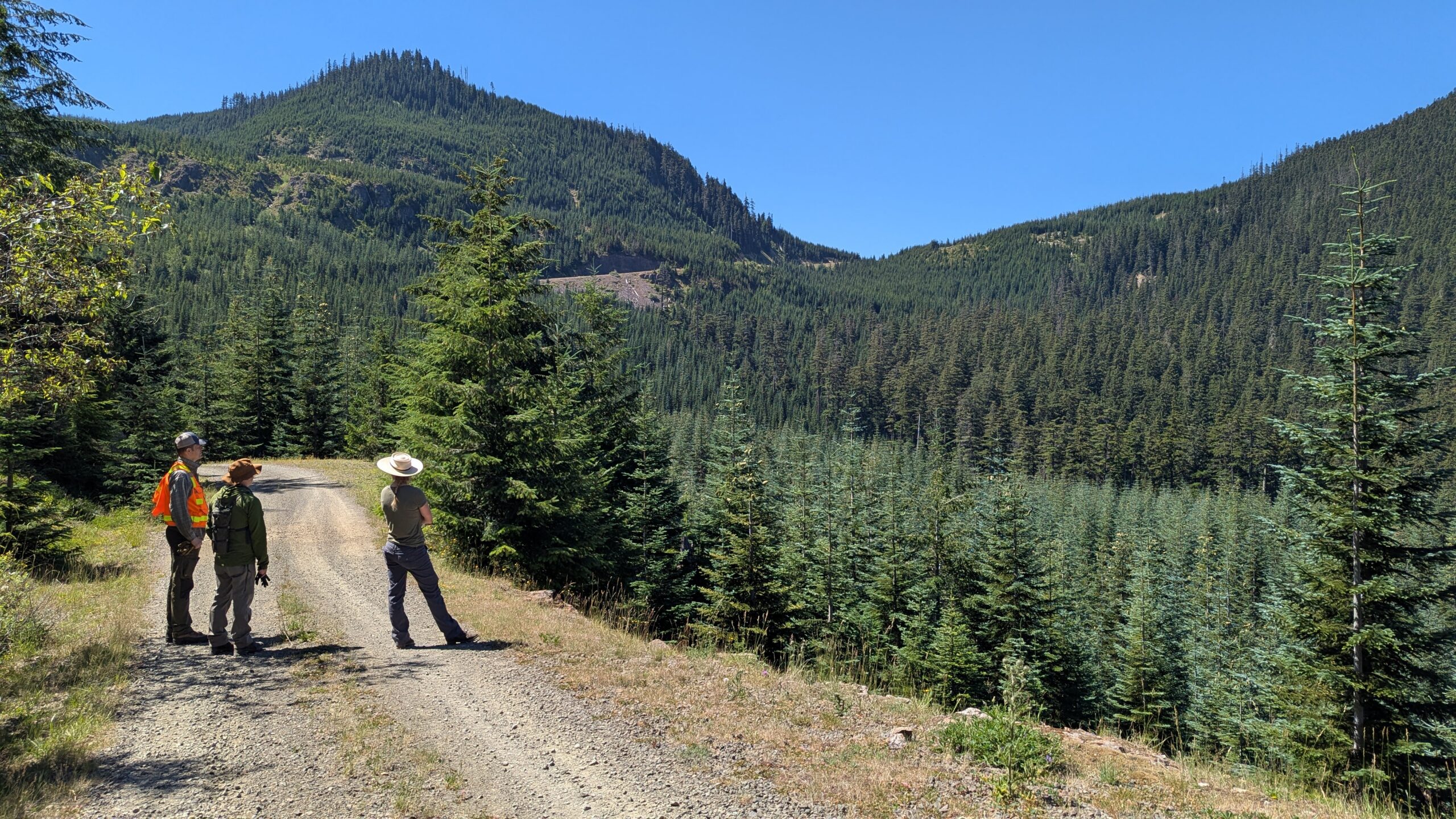 Cores are Core to our Mission: Successful Pathways in Forest
