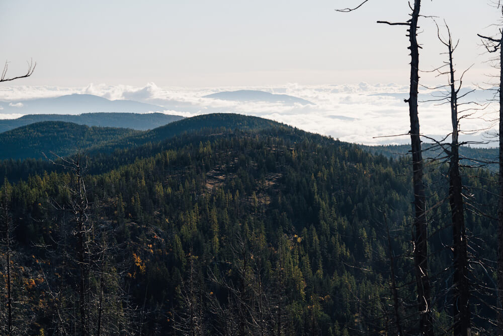 conservationnw image