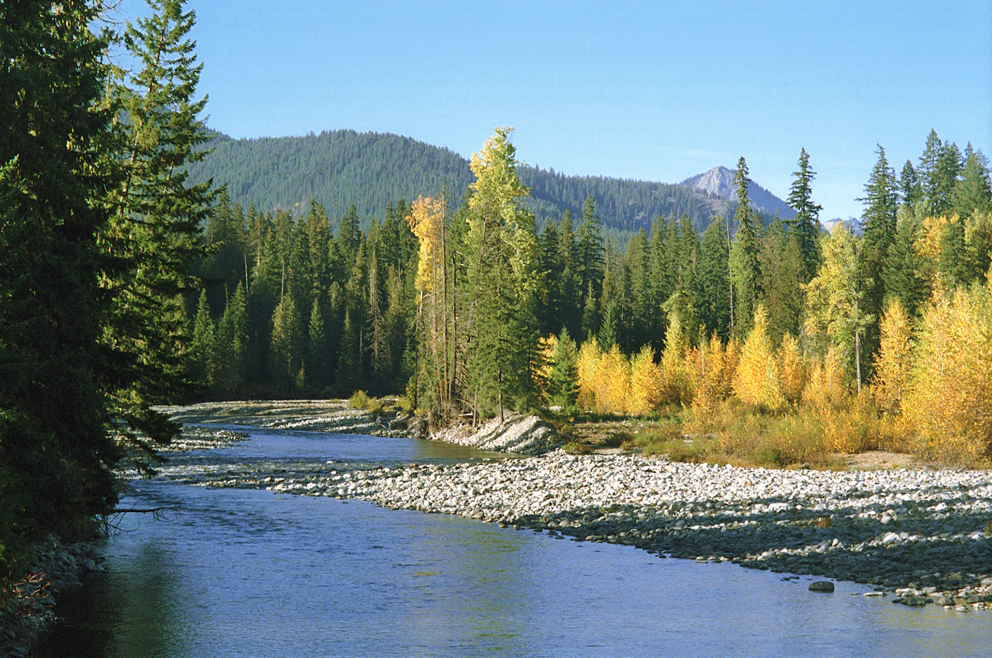 conservationnw image