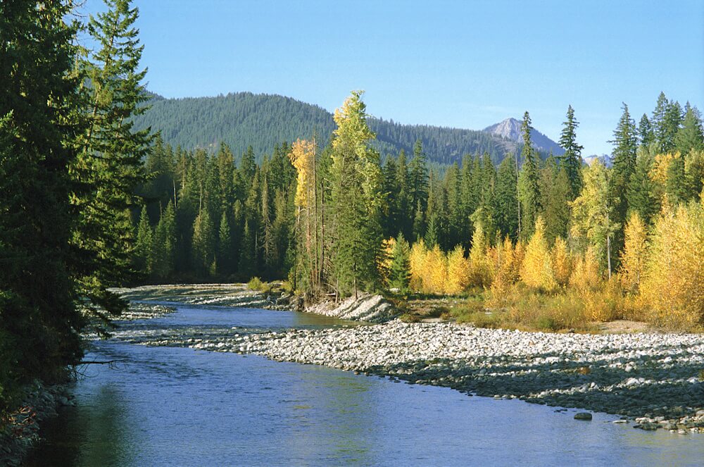 conservationnw image