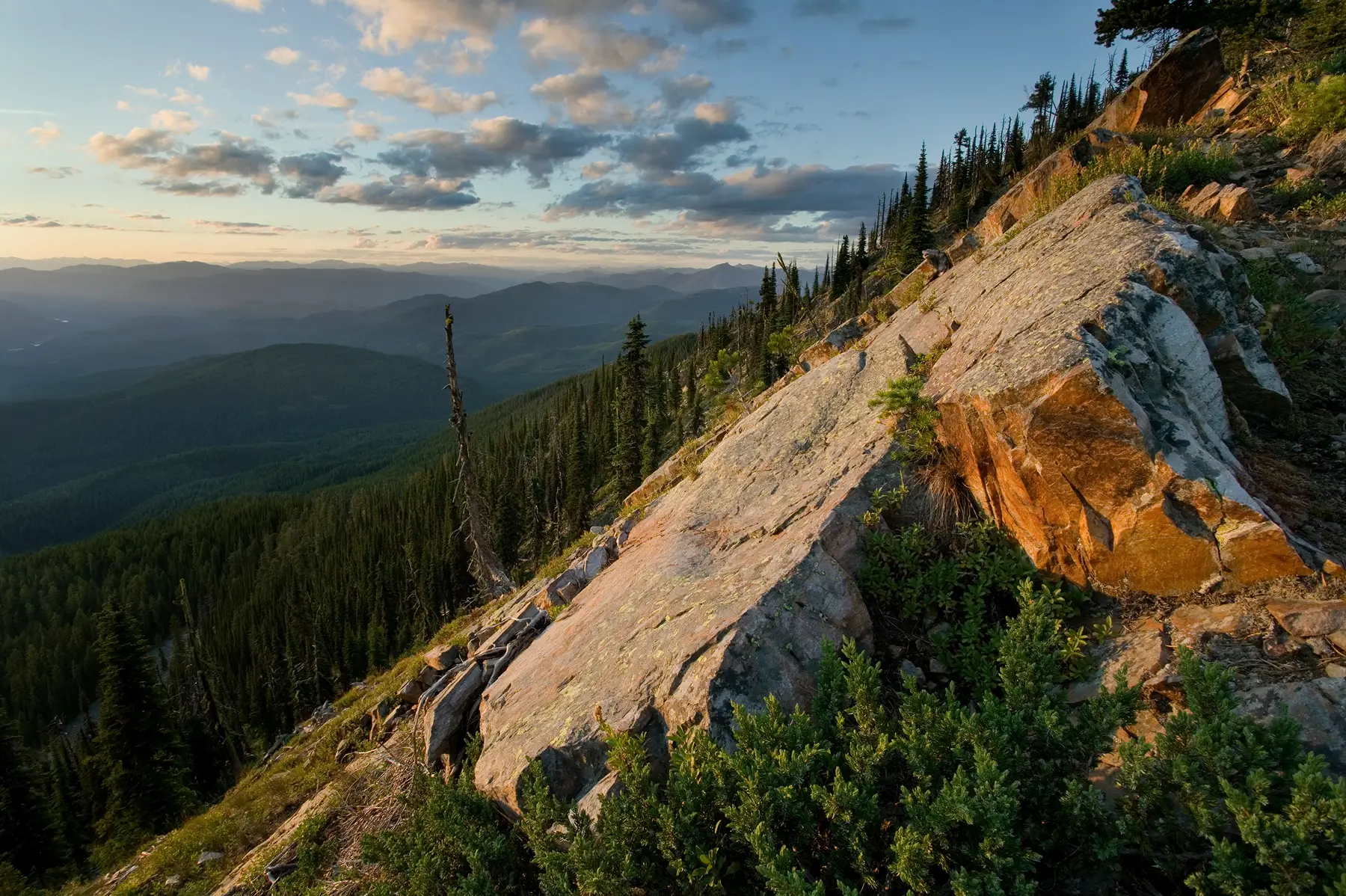 conservationnw image