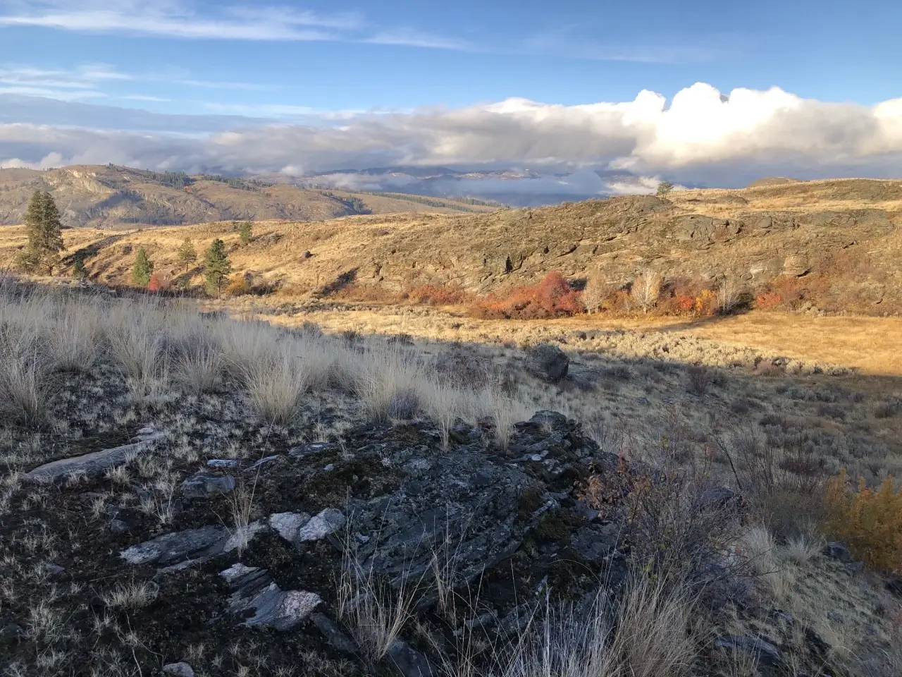 Cascades to Rockies 5