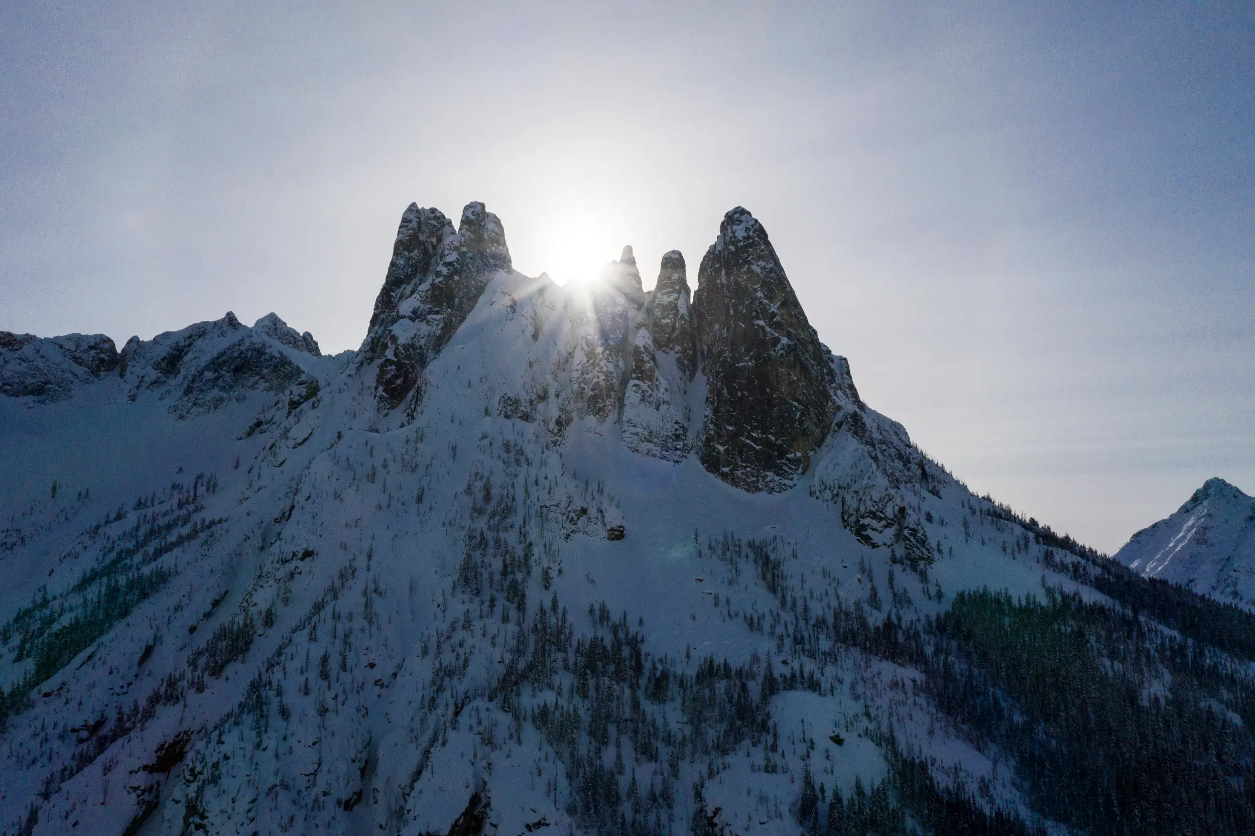 conservationnw image