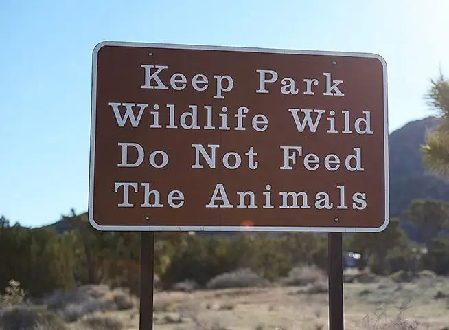 Do Not Feed Wildlife NPS