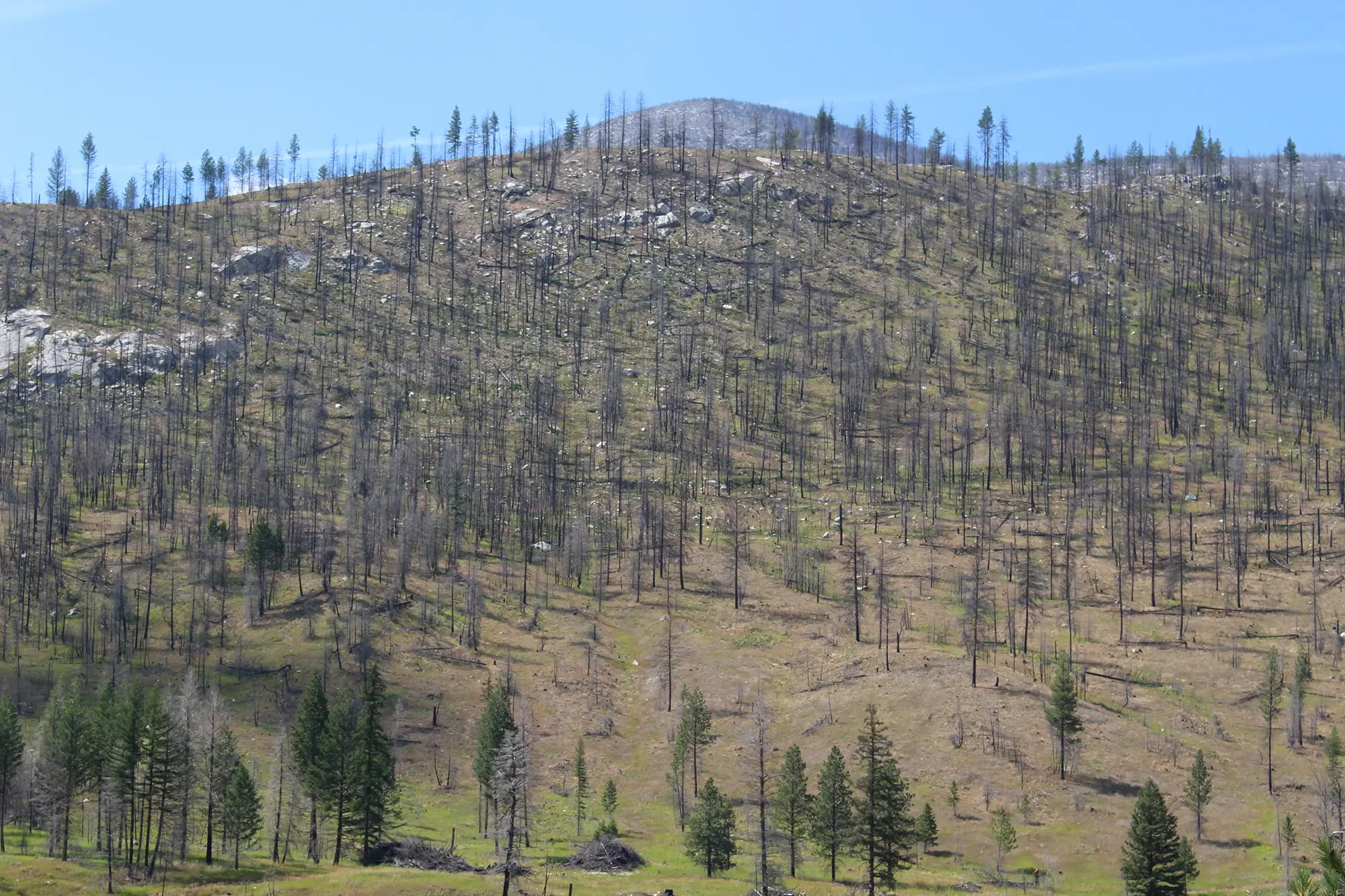 Restoring fire Images 2