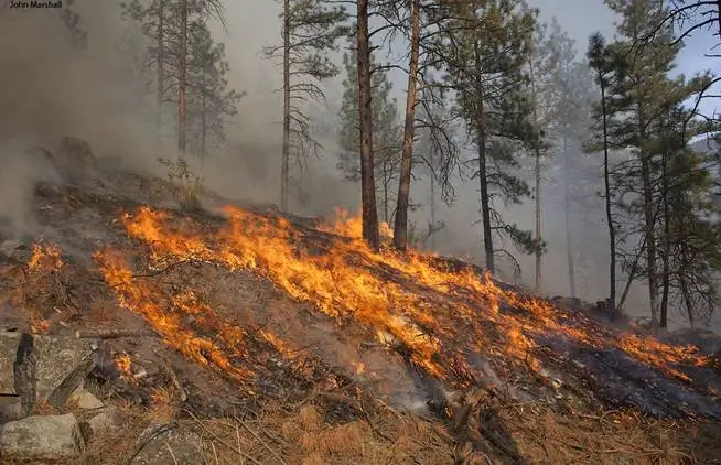 Restoring fire Images 6