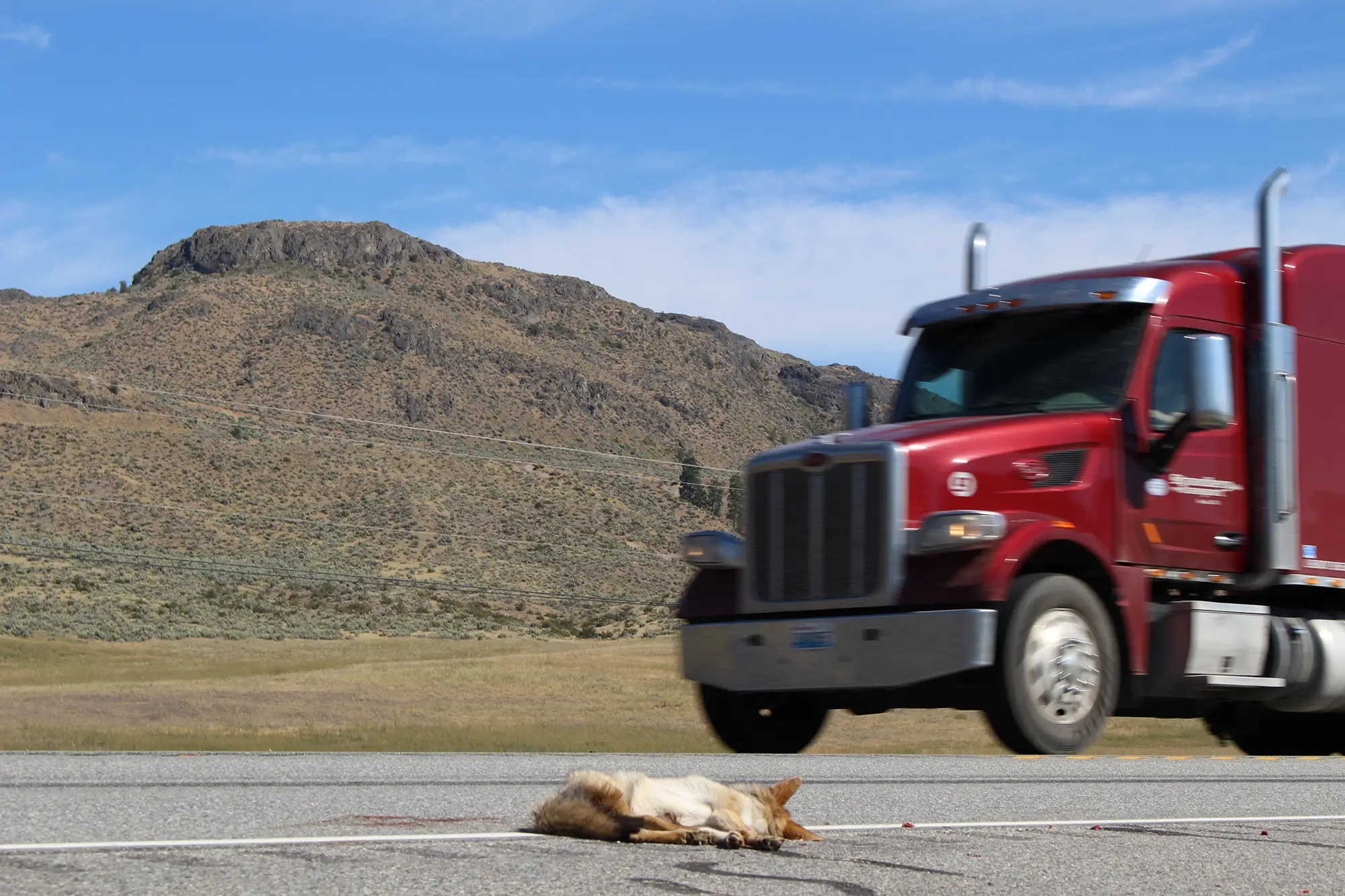 Safe Passage Highway 97 9