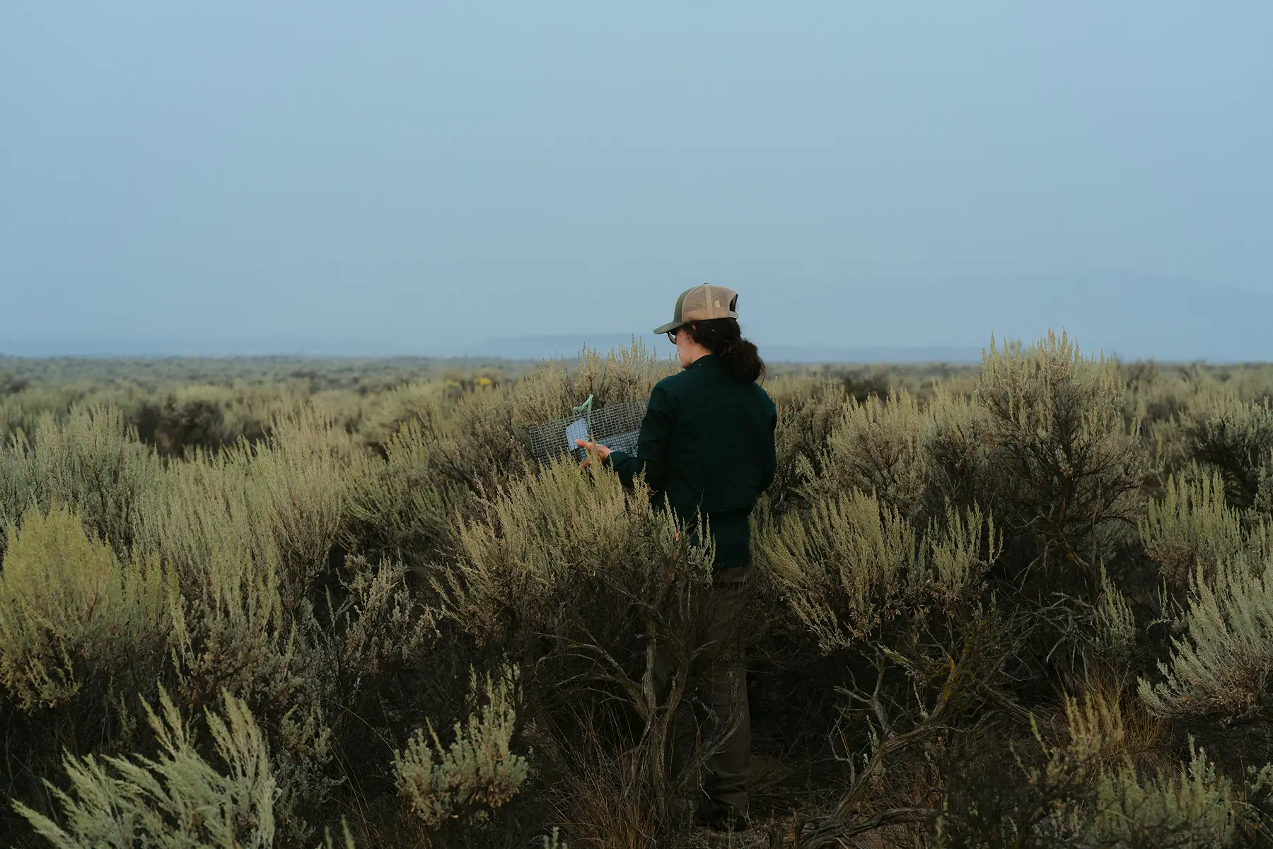 conservationnw image