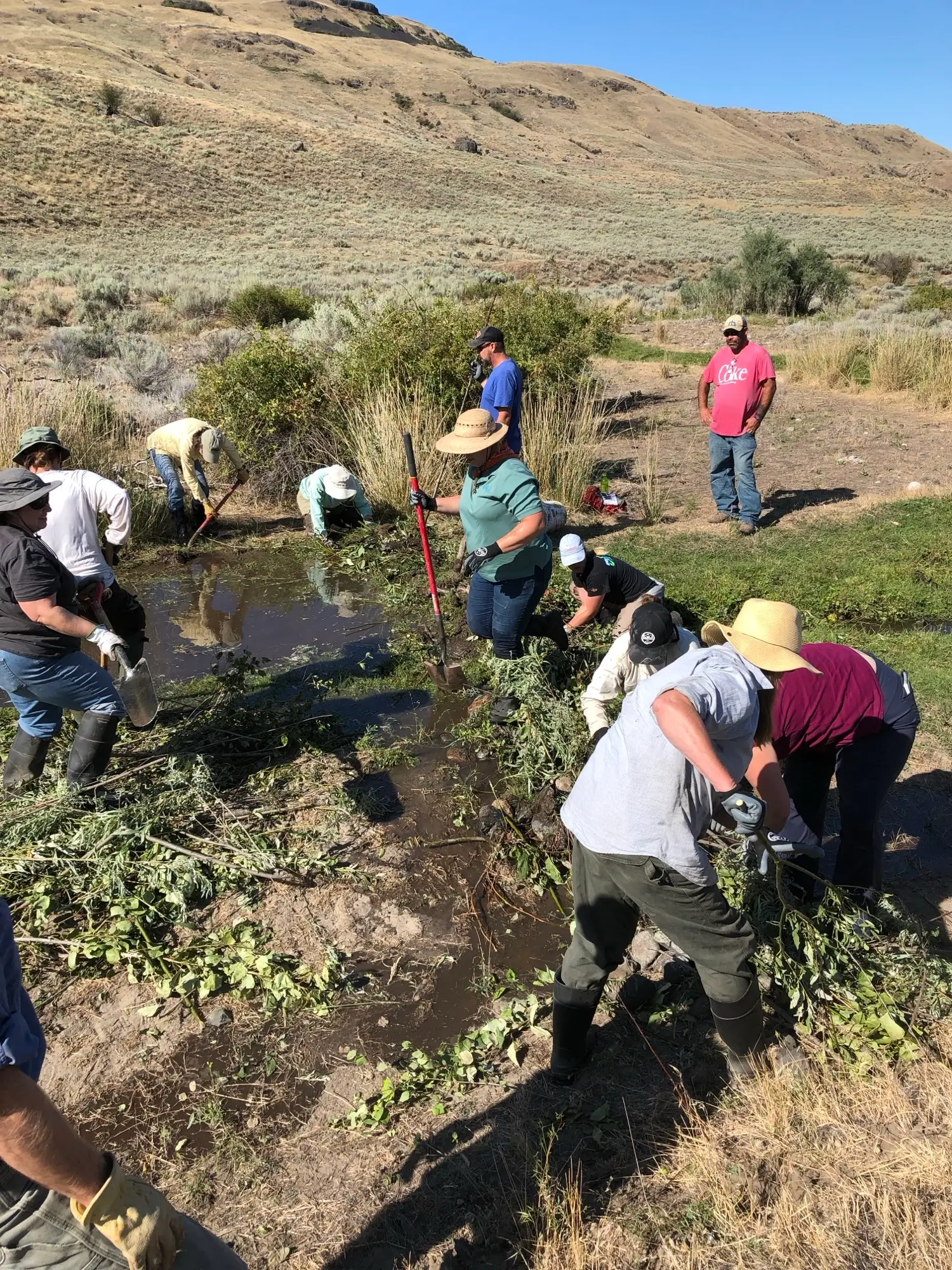 Habitat Restoration Images 1
