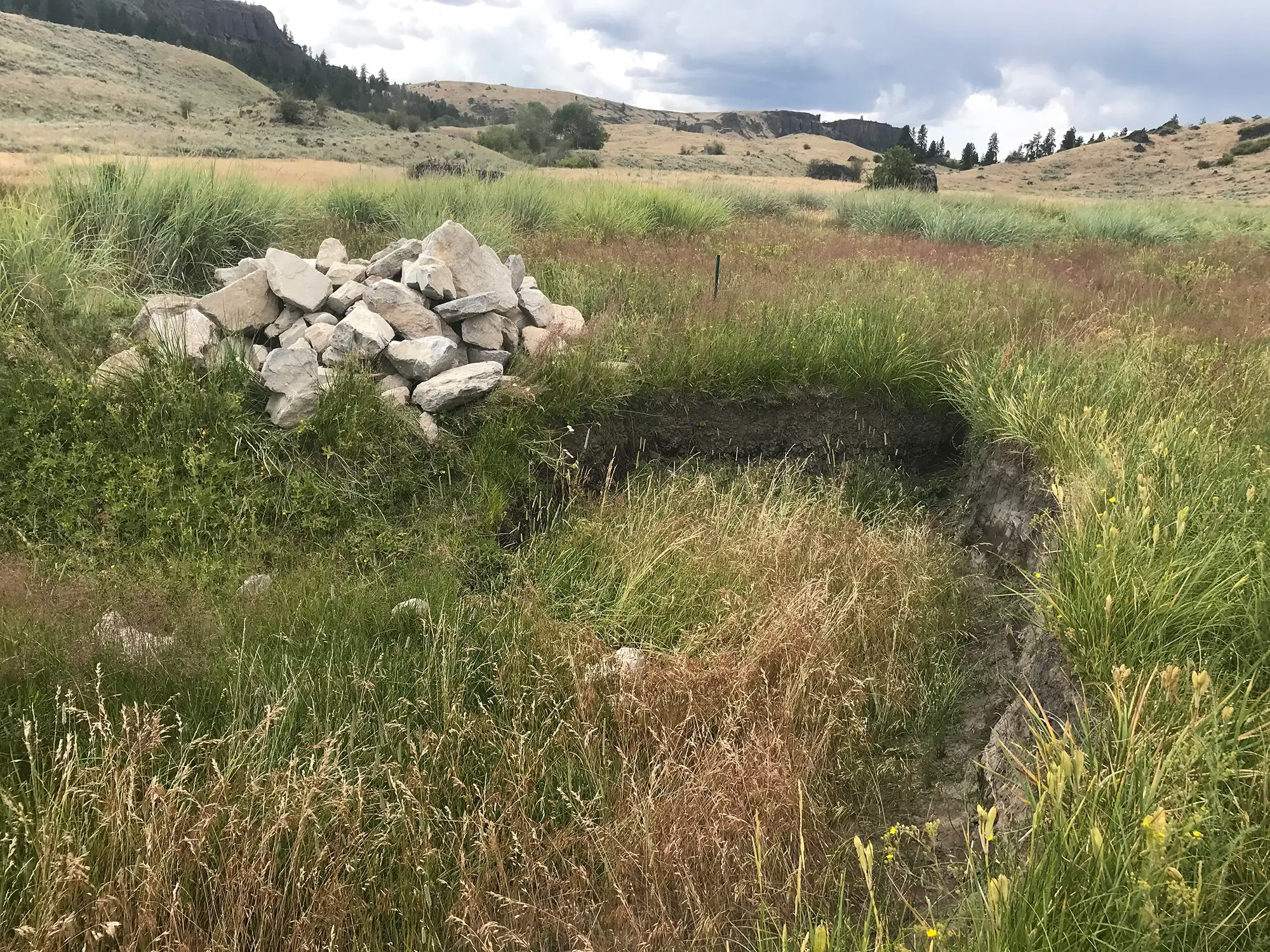 Habitat Restoration Images 2 1