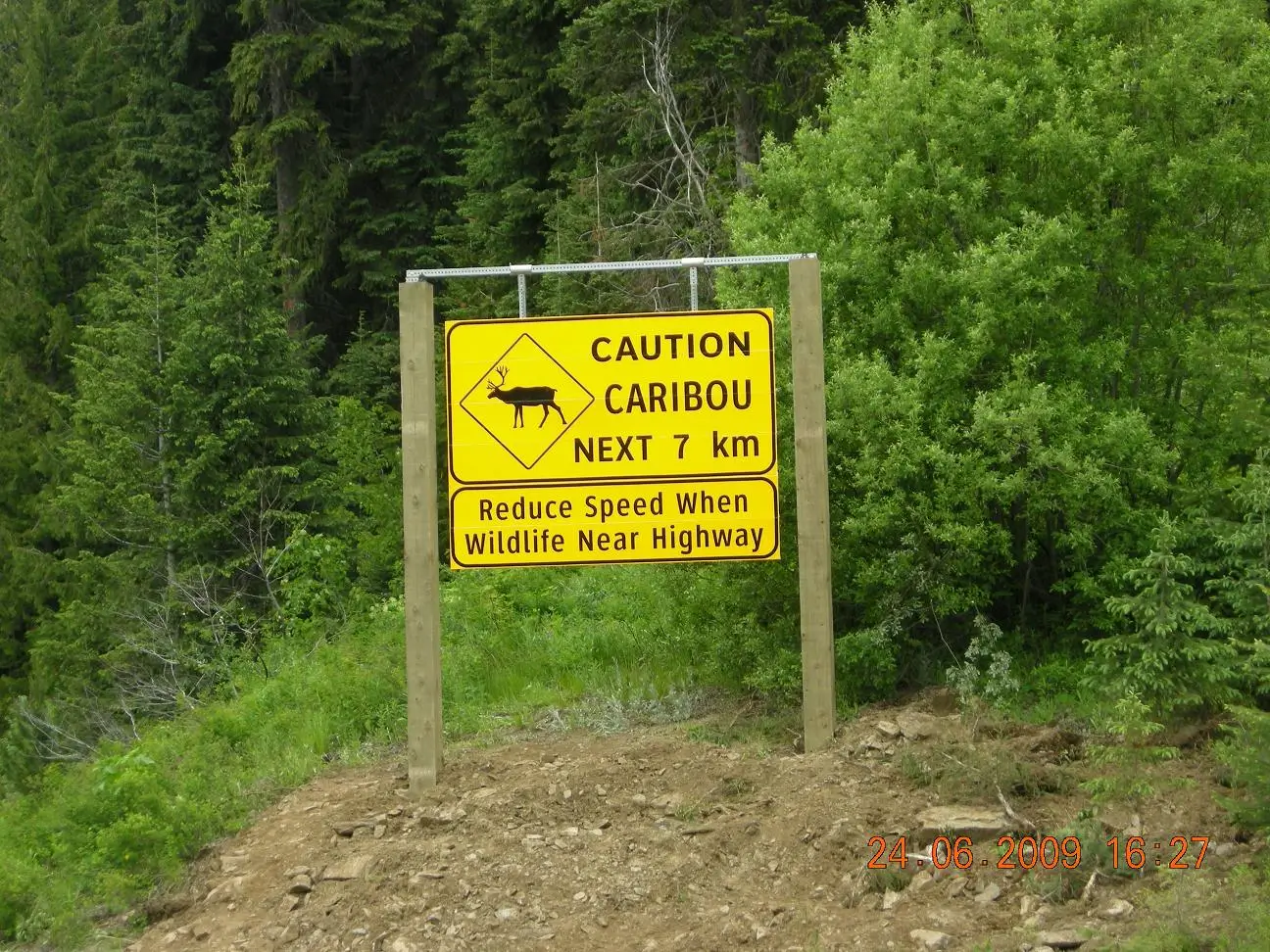 conservationnw image