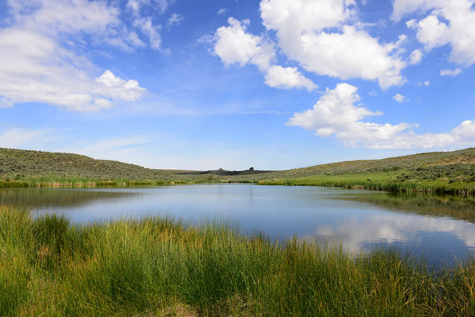 Working Lands Image 2 5