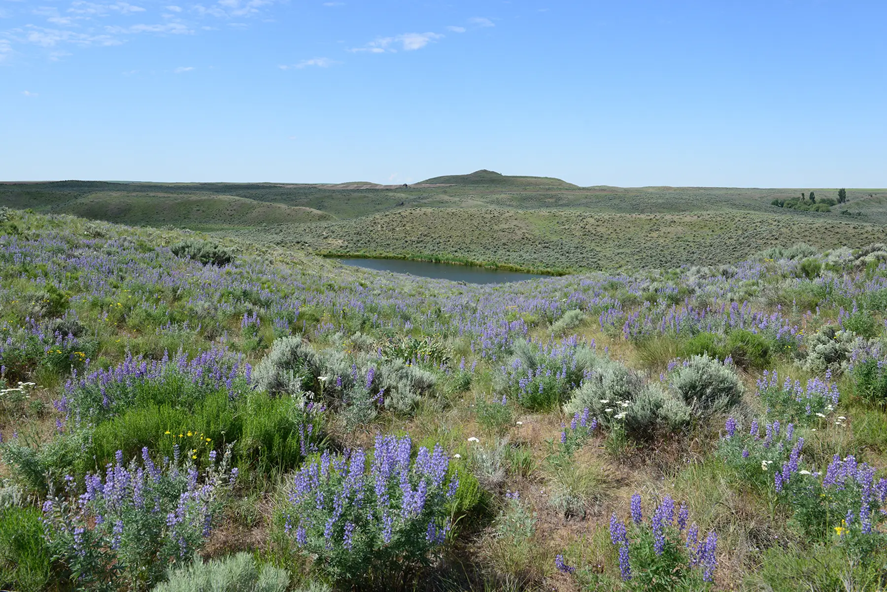Working Lands Image 2 6