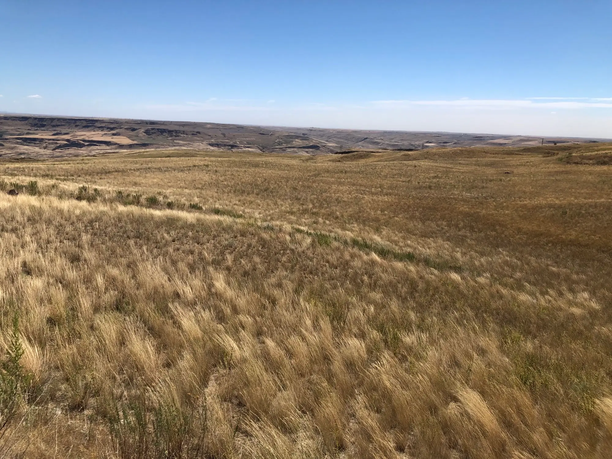 Working Lands Images 2