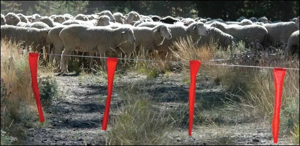 fladry sheep WDFW